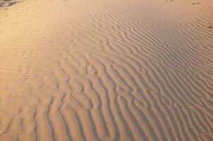 le sable dunes dans pampa, Argentine photo