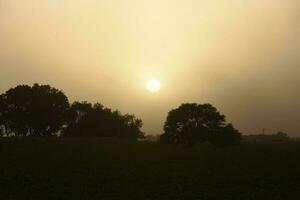 le coucher du soleil sur Las pampa, Argentine photo