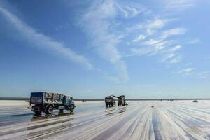 sel champ dans dunaliella saline, Argentine photo