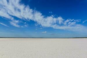 sel champ dans dunaliella saline, Argentine photo