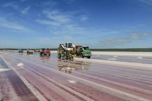 sel champ dans dunaliella saline, Argentine photo