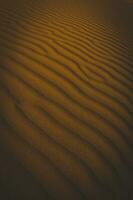 le sable dunes dans Las pampa, Argentine photo