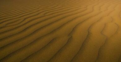 le sable dunes dans Las pampa, Argentine photo