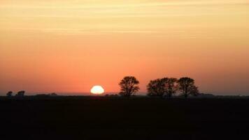 paysage dans Las pampa, Argentine photo