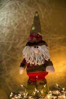 une farci gnome avec une barbe et une rouge chapeau photo