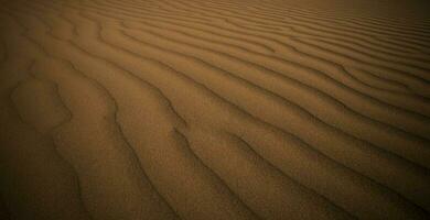 le sable dunes dans la pampa, Argentine photo
