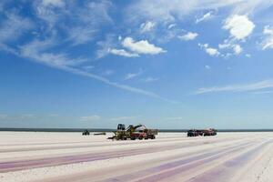 sel champ dans dunaliella saline, Argentine photo