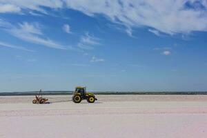 sel champ dans dunaliella saline, Argentine photo