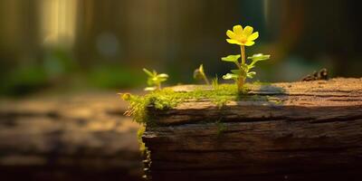 ai généré. ai génératif. magnifique Jaune fleur croissance de en bois brique bloquer tableau. floral Puissance fort la nature Extérieur ambiance. graphique art photo