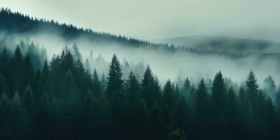 ai généré. ai génératif. aventure Extérieur la nature brouillard brouillard des nuages forêt des arbres paysage Contexte sauvage explorer. graphique art photo