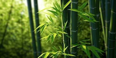 ai généré. ai génératif. éco vert feuille plante arbre bambou. asiatique Japon chinois culture tradition ambiance. graphique art photo