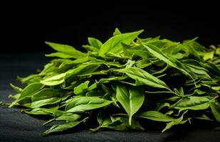 feuilles de thé vert photo