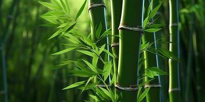 ai généré. ai génératif. éco vert feuille plante arbre bambou. asiatique Japon chinois culture tradition ambiance. graphique art photo