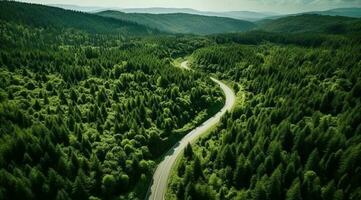 aérien aérien route enroulement chemin forêt arbre canopée photo