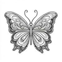 boho papillon coloration pages photo
