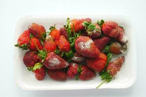 gris moule sur des fraises sur table , photo