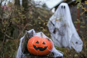 Halloween citrouille d'Halloween sur un vieux souche dans le forêt contre le toile de fond de une fantôme photo