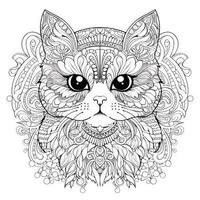 chat coloration pages exotique lineart photo