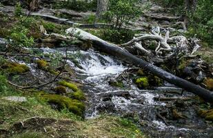 petite cascade dans une forêt photo