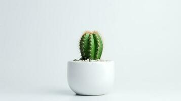 photo de cactus dans minimaliste pot comme plante d'appartement pour Accueil décoration isolé sur blanc Contexte. génératif ai