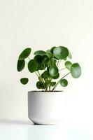 photo de pilea pépéromioïdes dans minimaliste pot comme plante d'appartement pour Accueil décoration isolé sur blanc Contexte. génératif ai