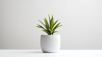 photo plante d'appartement dans minimaliste pot pour Accueil décoration. génératif ai