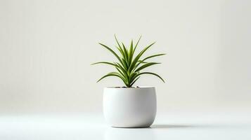 photo plante d'appartement dans minimaliste pot pour Accueil décoration. génératif ai
