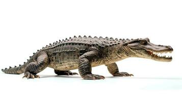 photo de une crocodile sur blanc Contexte. génératif ai