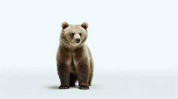 photo de une américain ours sur blanc Contexte. génératif ai