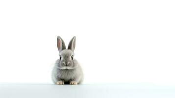 photo de une lapin sur blanc Contexte. génératif ai