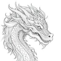 dragon coloration pages pour adultes photo