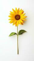 photo de un tige de tournesol isolé sur blanc Contexte. génératif ai