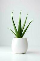 photo de aloès Vera dans minimaliste pot comme plante d'appartement pour Accueil décoration isolé sur blanc Contexte. génératif ai