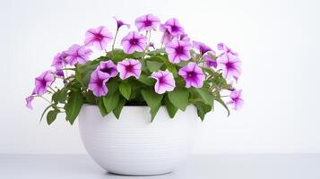 photo de pétunia dans minimaliste pot comme plante d'appartement pour Accueil décoration isolé sur blanc Contexte. génératif ai