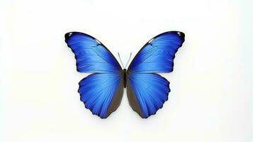 photo de une bleu morpho papillon sur blanc Contexte. génératif ai