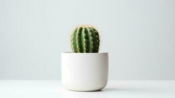 photo de cactus dans minimaliste pot comme plante d'appartement pour Accueil décoration isolé sur blanc Contexte. génératif ai