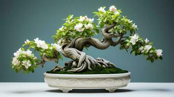 photo de bonsaï dans minimaliste pot comme plante d'appartement pour Accueil décoration isolé sur floue Contexte. génératif ai