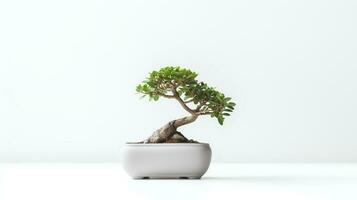 photo de bonsaï dans minimaliste pot comme plante d'appartement pour Accueil décoration isolé sur blanc Contexte. génératif ai