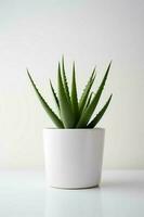 photo de aloès Vera dans minimaliste pot comme plante d'appartement pour Accueil décoration isolé sur blanc Contexte. génératif ai