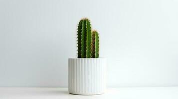 photo de organe tuyau cactus dans minimaliste pot comme plante d'appartement pour Accueil décoration isolé sur blanc Contexte. génératif ai