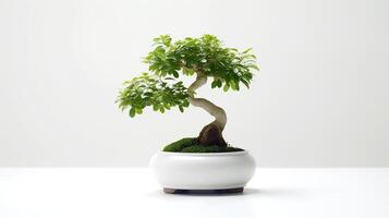 photo de bonsaï dans minimaliste pot comme plante d'appartement pour Accueil décoration isolé sur blanc Contexte. génératif ai