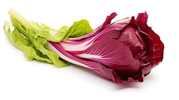 photo de radicchio isolé sur blanc Contexte