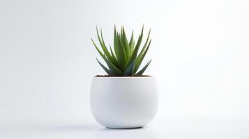 photo de agave dans minimaliste pot comme plante d'appartement pour Accueil décoration isolé sur blanc Contexte. génératif ai