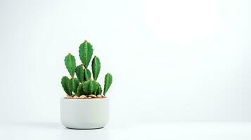 photo de épineux poire dans minimaliste pot comme plante d'appartement pour Accueil décoration isolé sur blanc Contexte. génératif ai