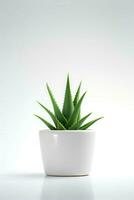 photo de aloès Vera dans minimaliste pot comme plante d'appartement pour Accueil décoration isolé sur blanc Contexte. génératif ai