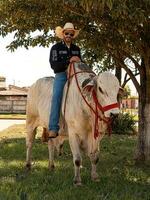 apore, goias, Brésil - 05 07 2023 à cheval équitation un événement ouvert à le Publique photo