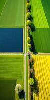 génératif ai, ferme paysage, agricole des champs, magnifique campagne, pays route. la nature illustration, photoréaliste Haut vue drone, verticale format photo