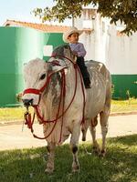 apore, goias, Brésil - 05 07 2023 à cheval équitation un événement ouvert à le Publique photo