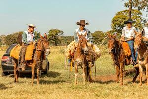 apore, goias, Brésil - 05 07 2023 à cheval équitation un événement ouvert à le Publique photo