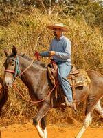 apore, goias, Brésil - 05 07 2023 à cheval équitation un événement ouvert à le Publique photo